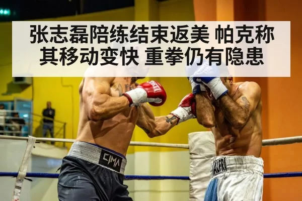 heavyweight boxer